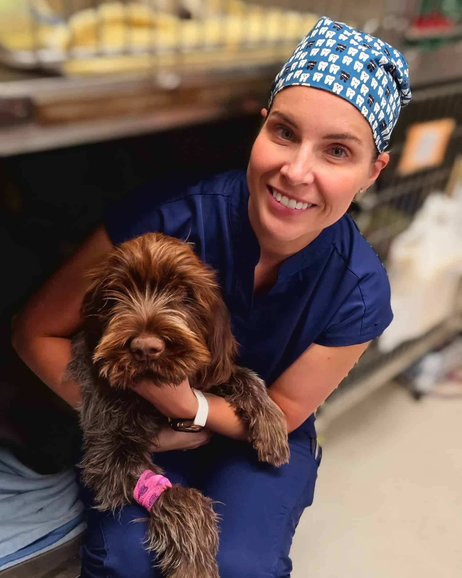 Veterinarian holding a brown dog with a pink bandage on its front leg.