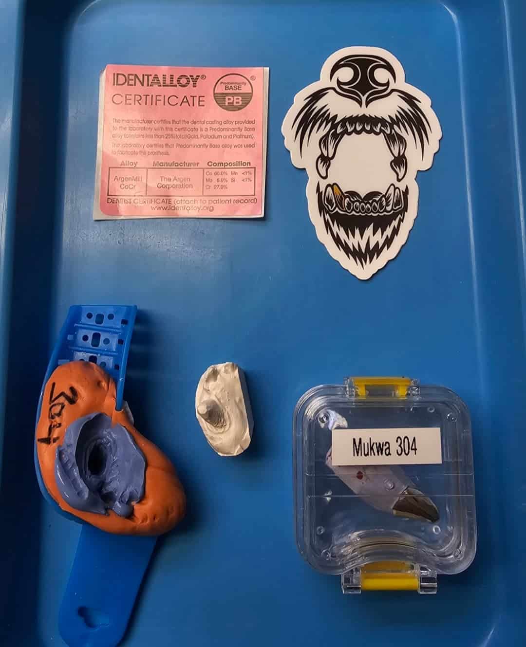 Dental impression materials and tooth model on a blue tray, with an IDENTALOY certificate and bear sticker nearby.