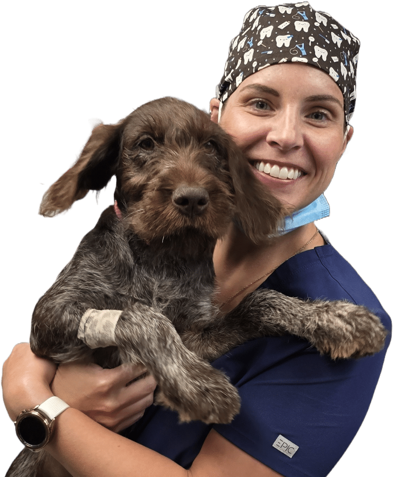 A person in blue scrubs and a tooth-patterned cap holds a brown dog.