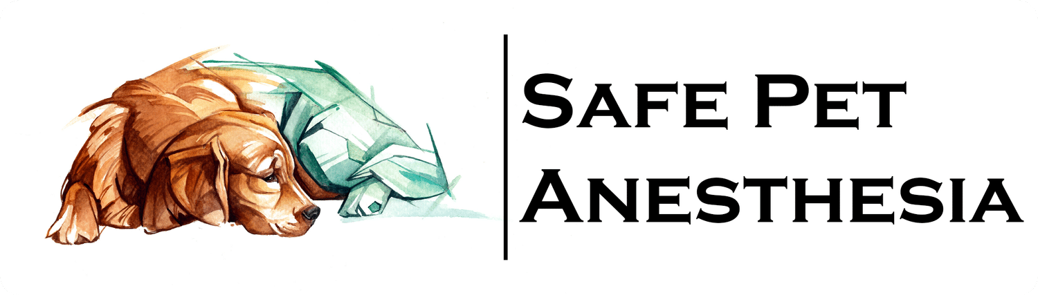 Illustration of a dog lying down next to an anesthesia mask, with the text "Safe Pet Anesthesia" in bold black letters.